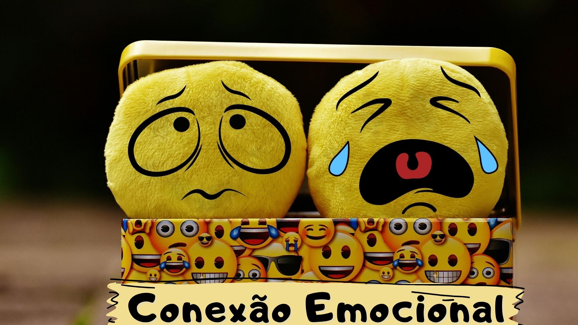 Conexão Emocional