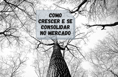 Como Crescer e se Consolidar no Mercado?