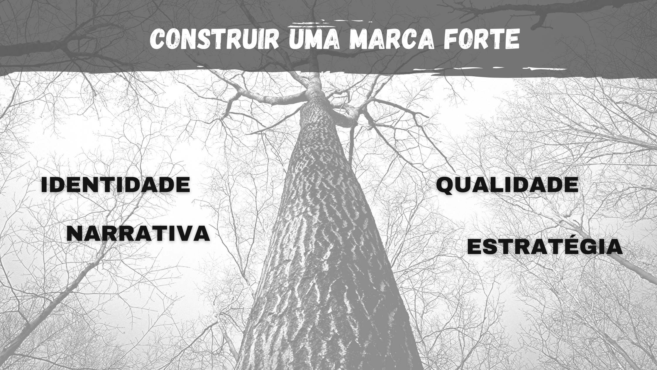 Como construir uma marca